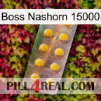 Boss Rhino 15000 new11
